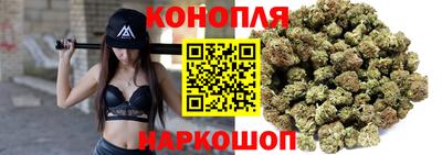 прущие грибы Волгодонск