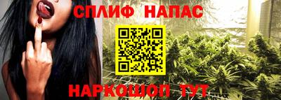 прущие грибы Волгодонск