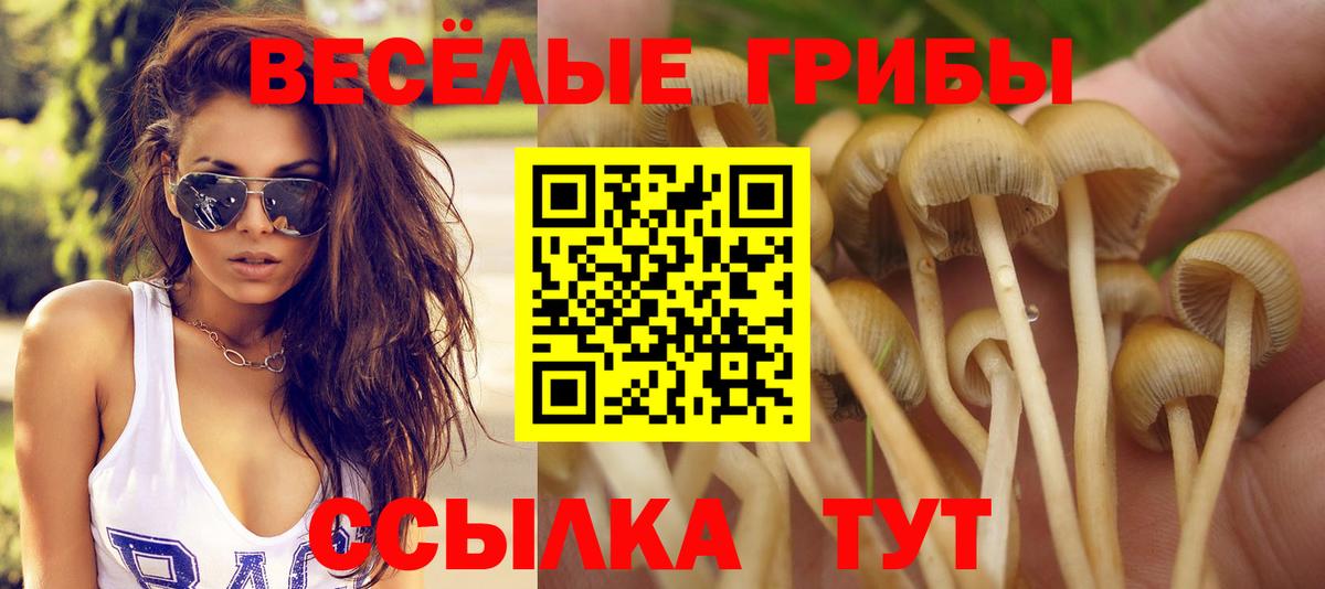 Галлюциногенные грибы прущие грибы  даркнет сайт  Стерлитамак  Галлюциногенные грибы Psilocybine cubensis  Вход с VPN 