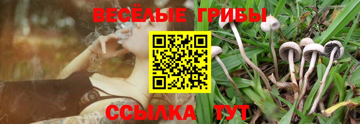 Псилоцибиновые грибы Magic Shrooms Стерлитамак